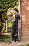 Asifa N Nabeel Elysian-(YKL25-11) Online Shopping