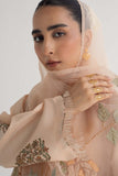 Zara Shahjahan ZHC-049 Online Shopping