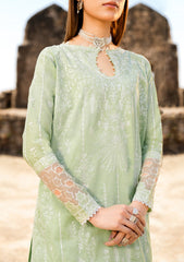 AIK Atelier Pardes Lawn Look 02 Online Shopping