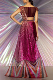 Amit Aggarwal Pink metallic draped sari set Online Shopping