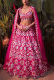 Aneesh Agarwaal Magenta pink floral lehenga set Online Shopping