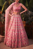 Aneesh Agarwaal Pink embellished lehenga set Online Shopping