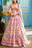 Aneesh Agarwaal Mint organza lehenga set Online Shopping