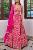 Aneesh Agarwaal Fuchsia silk lehenga set Online Shopping