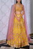 Aneesh Agarwaal Yellow floral lehenga set Online Shopping