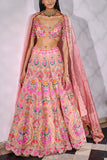 Aneesh Agarwaal Peach embroidered lehenga set Online Shopping