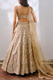 Aneesh Agarwaal Gold silk lehenga set Online Shopping