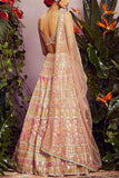 Aneesh Agarwaal Beige lotus foil lehenga set Online Shopping