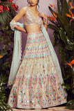 Aneesh Agarwaal Mint floral lehenga set Online Shopping