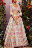 Aneesh Agarwaal Multicoloured applique lehenga set Online Shopping