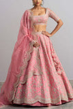 Anushree Reddy Pink embellished lehenga set Online Shopping