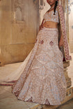 Jigar and Nikita Grey embroidered lehenga set Online Shopping