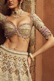 Annu's Creation Beige sequin and pearl embroidery lehenga set Online Shopping