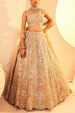 Aneesh Agarwaal Gold zari embroidered lehenga set Online Shopping