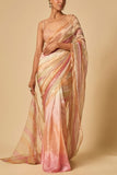 Masumi Mewawalla Multicolour embroidered pre-draped sari set Online Shopping