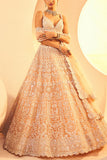 Aneesh Agarwaal Peach zari embroidered lehenga set Online Shopping