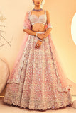 Aneesh Agarwaal Pink mirror and zari embroidered lehenga set Online Shopping