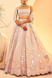 Aneesh Agarwaal Pink zari embroidered lehenga set Online Shopping