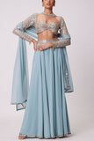 Vvani by Vani Vats Powder blue mirror embroidery sharara set Online Shopping