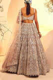 Aneesh Agarwaal Taupe zari embroidered lehenga set Online Shopping