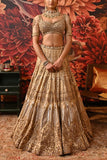 Moledro Gold embroidered lehenga set Online Shopping