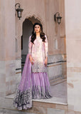 Haseen Huma Online Shopping