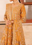 Haseen Ira-4 Online Shopping