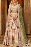 Matsya Beige pichwai lehenga set Online Shopping