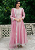 Haseen Official Nafees-3 Online Shopping