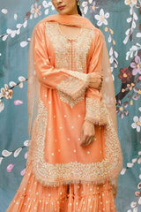 Niti Bothra Peach embroidered sharara set Online Shopping