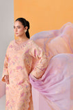 N-811 Ramsha Brand Original Fabrics