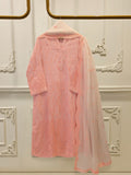 S114041 Agha Noor Brand Original Fabrics