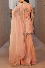 Sana Barreja Peach embroidered jacket and gharara set Online Shopping