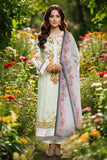 Serene Premium SPP-06 Dewdrop Online Shopping