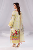 Imrozia Premium SP-64 Hooriya Online Shopping