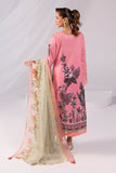 Imrozia Premium SP-65 Sabeen Online Shopping