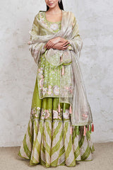 Sue Mue Green embroidered sharara set Online Shopping