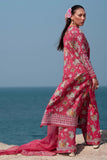 Afrozeh Pink Ruby Online Shopping