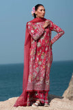 Afrozeh Pink Ruby Online Shopping