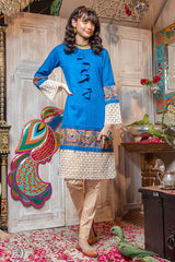 Zahra Ahmed Morni Luxury Pret 2020