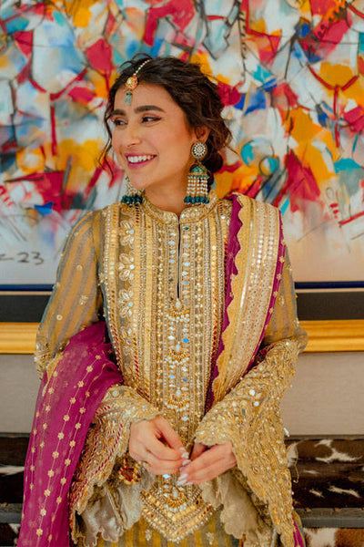 Mohsin Naveed Ranjha Sona Rafiq in Nawab Sahiba Zarlish Wedding Festiv ...