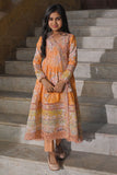 Ansab Jahangir Hana - Girl Online Shopping