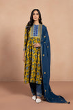 Sapphire 2PE CL22V12 4 1 2 Piece - Embroidered Khaddar Suit Winter Vol 1 RTW 2022 Online Shopping