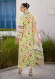 Elaf Premium EOP-02A Chelsea  Prints Collection Online Shopping