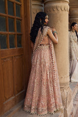 Afrozeh Madhur Dastangoi Wedding Formals Edition Online Shopping