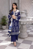 Rangrasiya Amaya Florence Slub Linen Shawl Online Shopping