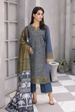 Rangrasiya Zahabia Florence Slub Linen Shawl Online Shopping