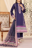 VS Textile D-245 Anmol Cottel Winter Collection Online Shopping