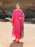 Zainab Chottani Laali - 6A Online Shopping
