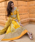 Zunn Umber Chiffon Collection 2022 Online Shopping